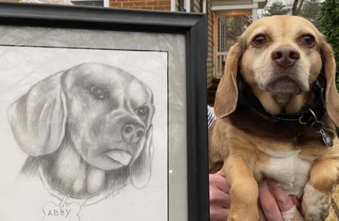 Cette chienne senior a été abandonnée par sa famille qui ne pouvait plus répondre à ses besoins 
