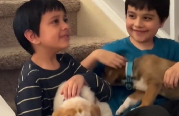 Ces deux enfants découvrent avec émotion qu’ils allaient adopter les chiens accueillis temporairement