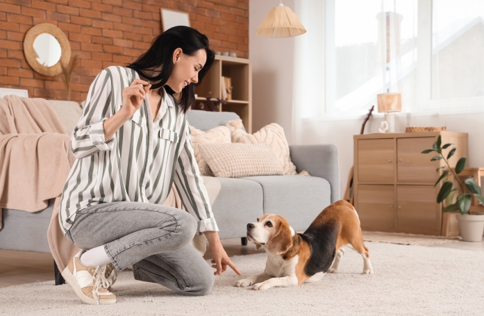 Comment éduquer son chien et lui apprendre les bases de l’obéissance ?