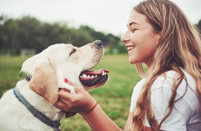 Comment sociabiliser son chien ou son chat ?