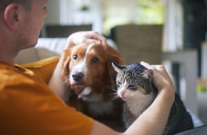 Comment gérer l’hyperattachement chez son chat ou son chien ?