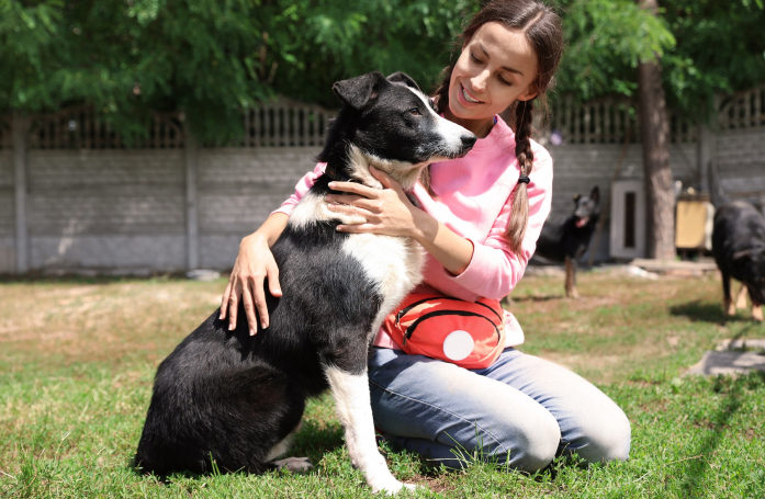 Comment choisir son animal en fonction de son mode de vie ?