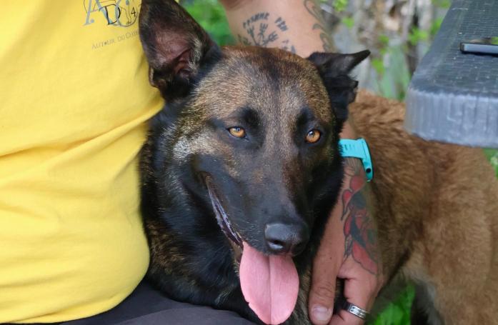 Portrait d'association - Autour du Chien 43