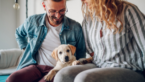 Illustration : "Qu'est-ce que le certificat d'engagement et de connaissance ?"