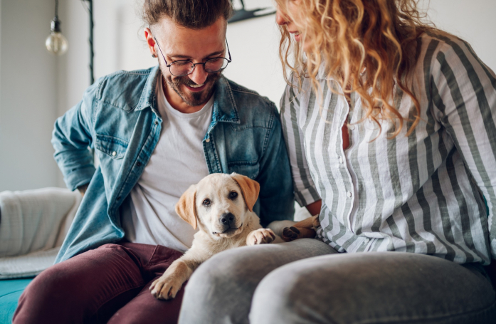 Qu'est-ce que le certificat d'engagement et de connaissance ?