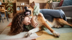 Illustration : "Comment adopter un chien ou un chat à l'étranger ?"