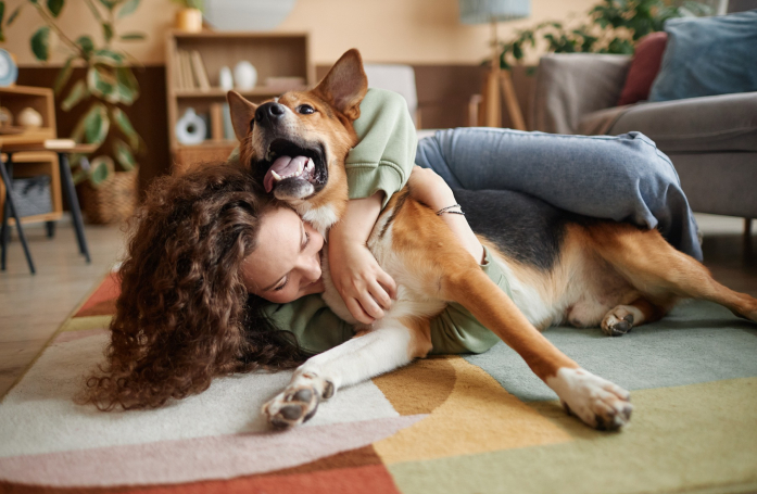 Comment adopter un chien ou un chat à l'étranger ?
