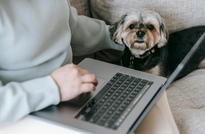 Comment créer une association de protection animale ?