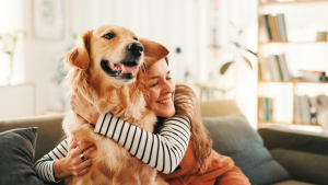 Illustration : "Comment stimuler un chien en appartement ?"