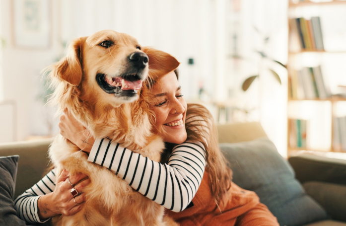 Comment stimuler un chien en appartement ?