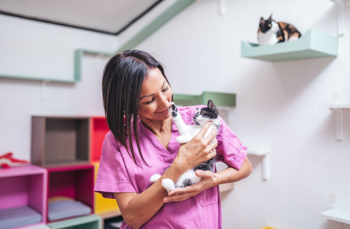 Qu'est-ce que l'ACACED ?