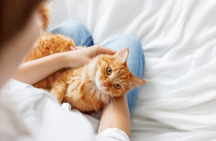 Quels sont les bienfaits des animaux sur la santé humaine ?