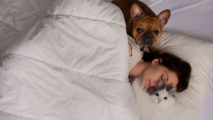 Illustration : "Est-ce une bonne ou une mauvaise idée de dormir avec son animal ?"
