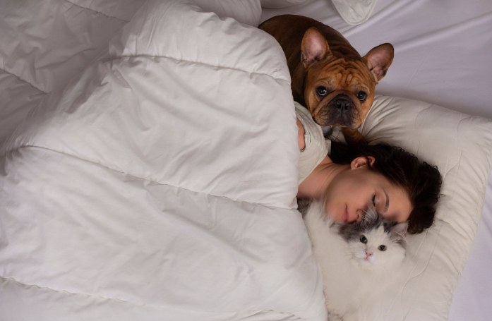 Est-ce une bonne ou une mauvaise idée de dormir avec son animal ?