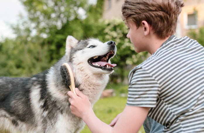 Comment gérer la perte de poils de son chien ou de son chat ?