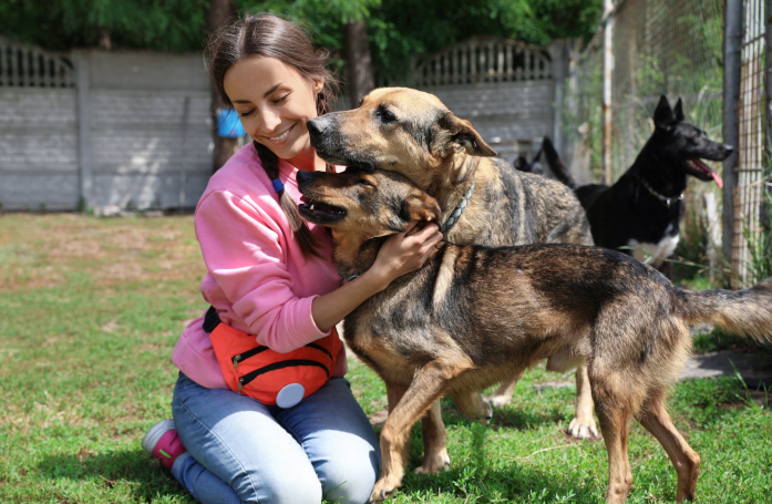 Comment devenir bénévole dans un refuge pour animaux ?