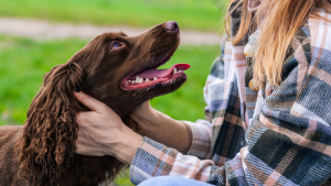 Illustration : "Comment gérer la mauvaise odeur chez son chat ou son chien ?"