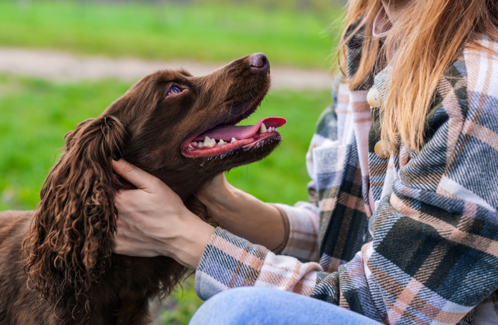 Comment gérer la mauvaise odeur chez son chat ou son chien ?