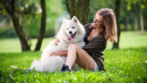 Illustration : "Votre chien a-t-il besoin d'une routine ?"