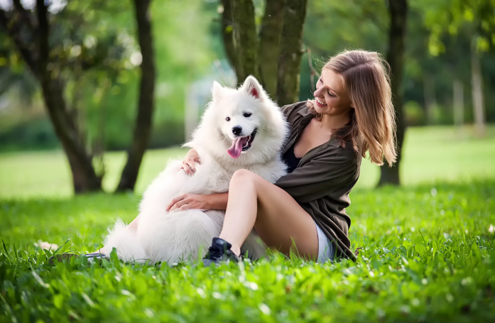 Votre chien a-t-il besoin d'une routine ?