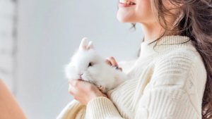 Illustration : "Que faut-il savoir avant d'adopter un lapin ?"