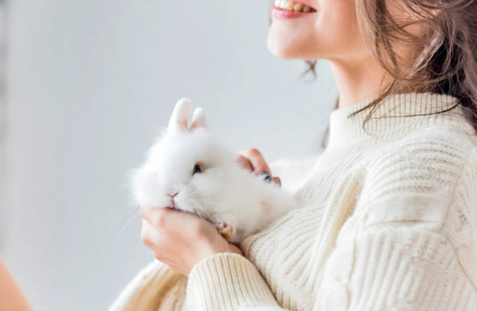 Que faut-il savoir avant d'adopter un lapin ?