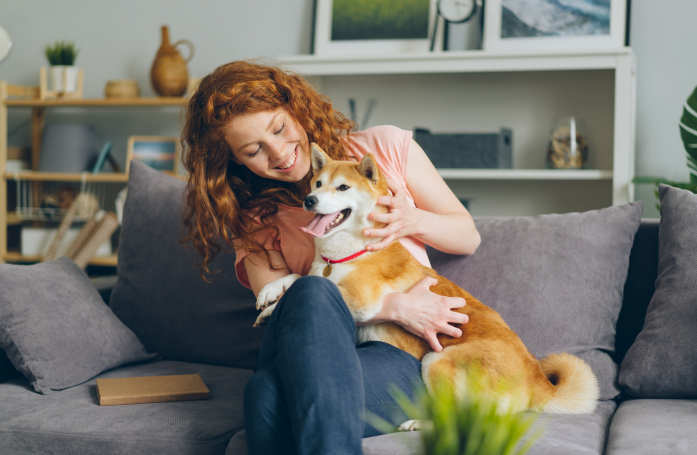 Les bonnes pratiques pour sécuriser un chien nouvellement adopté