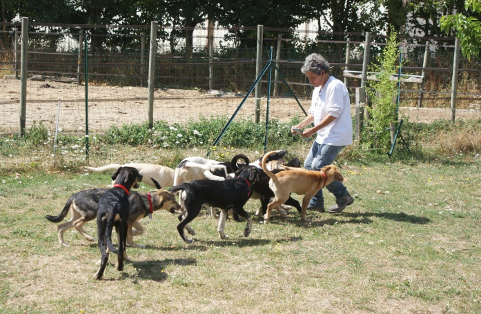 Portrait d'association – L’Homme et son Chien