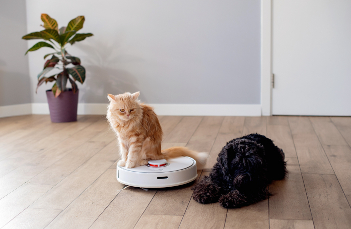 Comment une hygiène adaptée à la maison contribue au bien-être des animaux ?