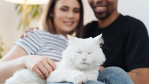 Illustration : "Comment interpréter le langage corporel de son animal de compagnie ?"