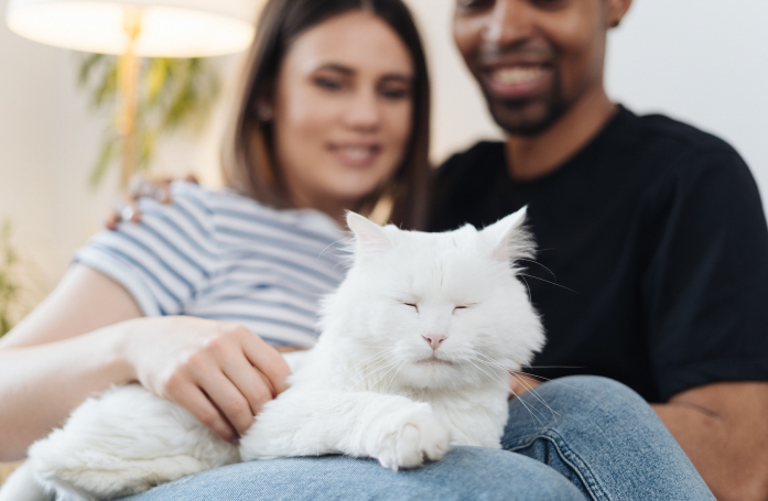 Comment interpréter le langage corporel de son animal de compagnie ?
