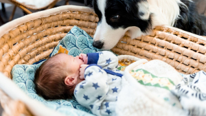 Illustration : "Comment gérer l'arrivée d'un bébé quand on a un animal ?"