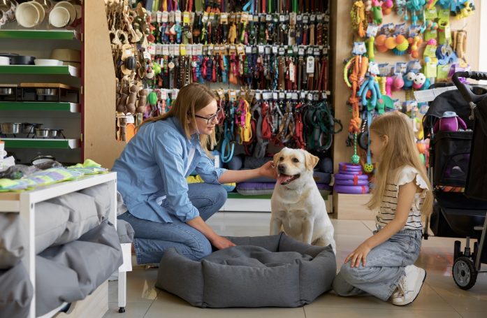 Comment évaluer ses capacités financières avant d'adopter un animal ?