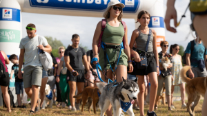 Illustration : "Emmener un chien adopté sur un grand événement comme Canidays avec Hill's  : les bonnes pratiques"