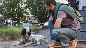 Illustration : "Comment devenir enquêteur bénévole pour une association de protection animale ?"
