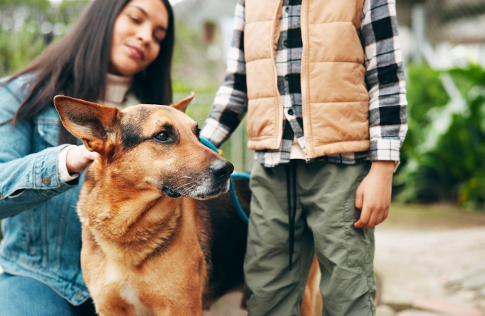 Comment adopter un animal SOS en refuge ?