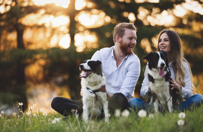 Comment adopter plusieurs animaux en même temps ?