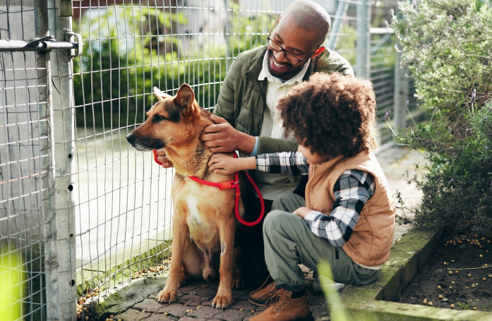 Quels sont les signes qui montrent qu’un animal de refuge vous correspond ?