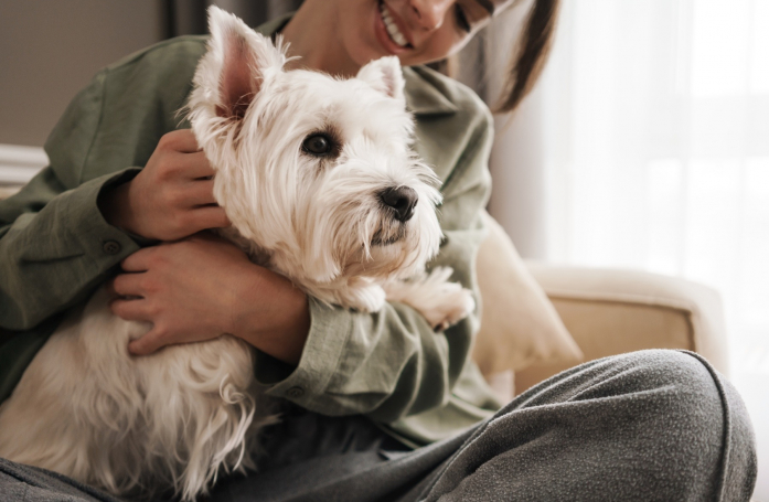 Comment se rassurer en tant que propriétaire quand on doit laisser son animal seul dans la journée ?