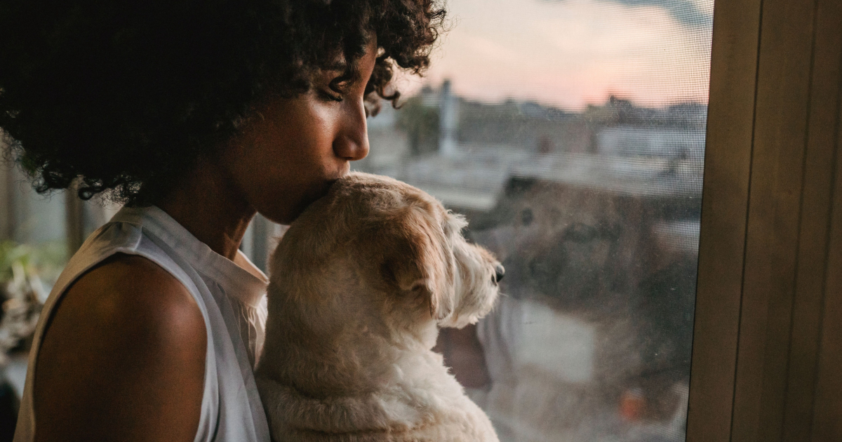 Adopter après un animal perdu : écouter son cœur, pas le calendrier