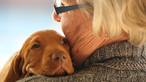 Illustration : "Peut-on adopter un animal quand on est senior ?"