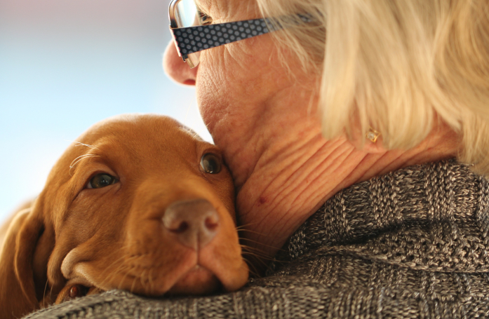 Peut-on adopter un animal quand on est senior ?