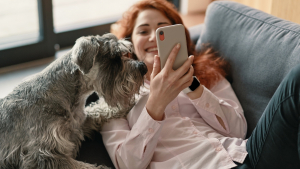 Illustration : "Quel est l’impact des réseaux sociaux sur la protection animale ?"