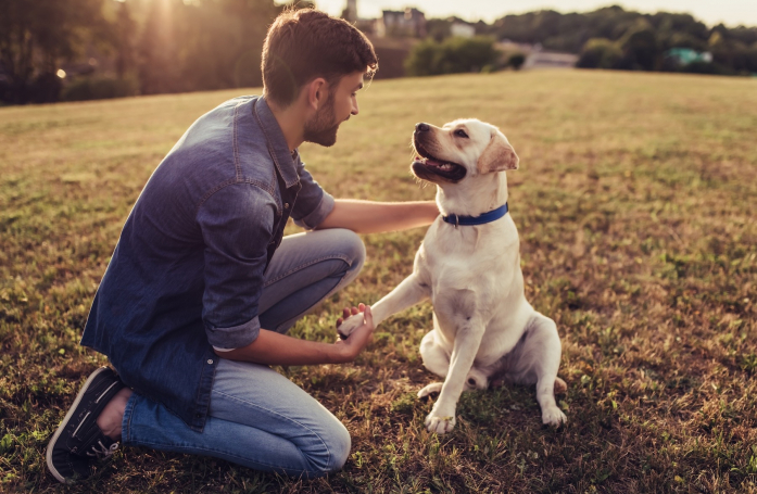 Comment accompagner un chien qui a peur des hommes ?