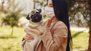 Illustration : "Comment tester une allergie aux animaux avant d’en adopter un ? "