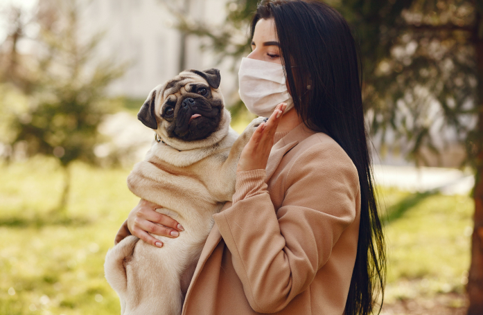 Comment tester une allergie aux animaux avant d’en adopter un ? 