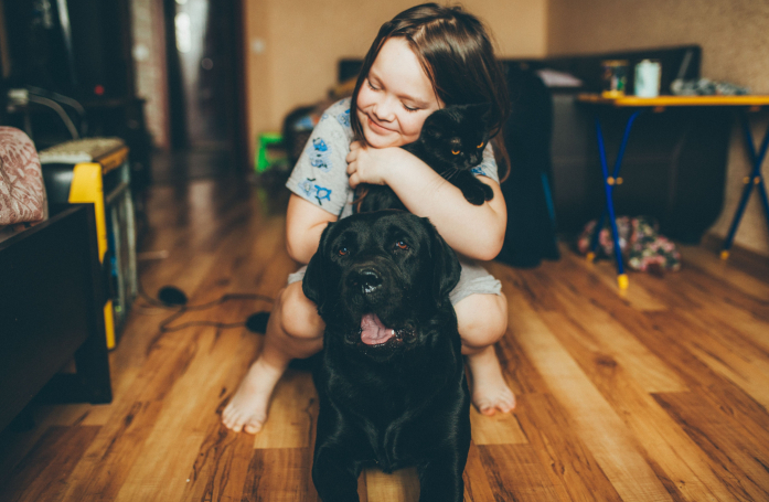 Quels sont les préjugés qui peuvent influencer l’adoption des animaux noirs ?