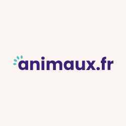 Photo de MiMo