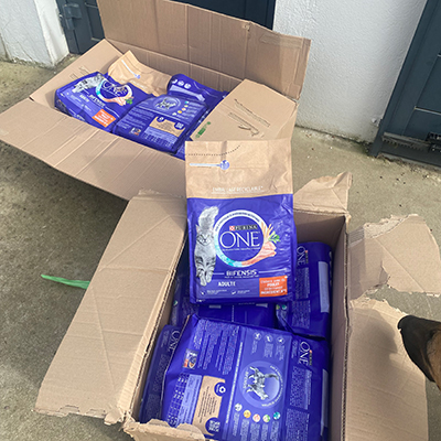 Association Sauvetage des animaux domestiques de France - Clics Solidaires