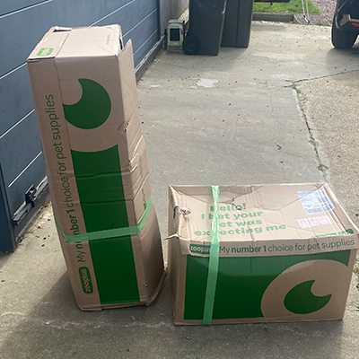 Animaux pris en charge par l'association Sauvetage des animaux domestiques de France